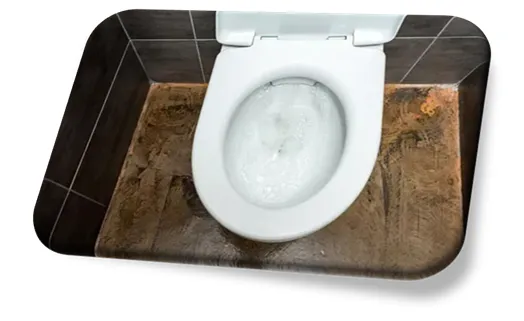 Desentupidora de Vaso Sanitário